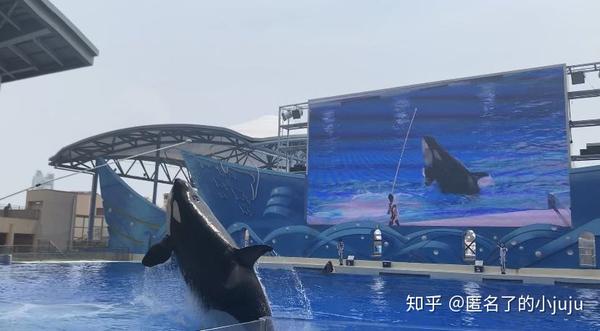 公园5攻略