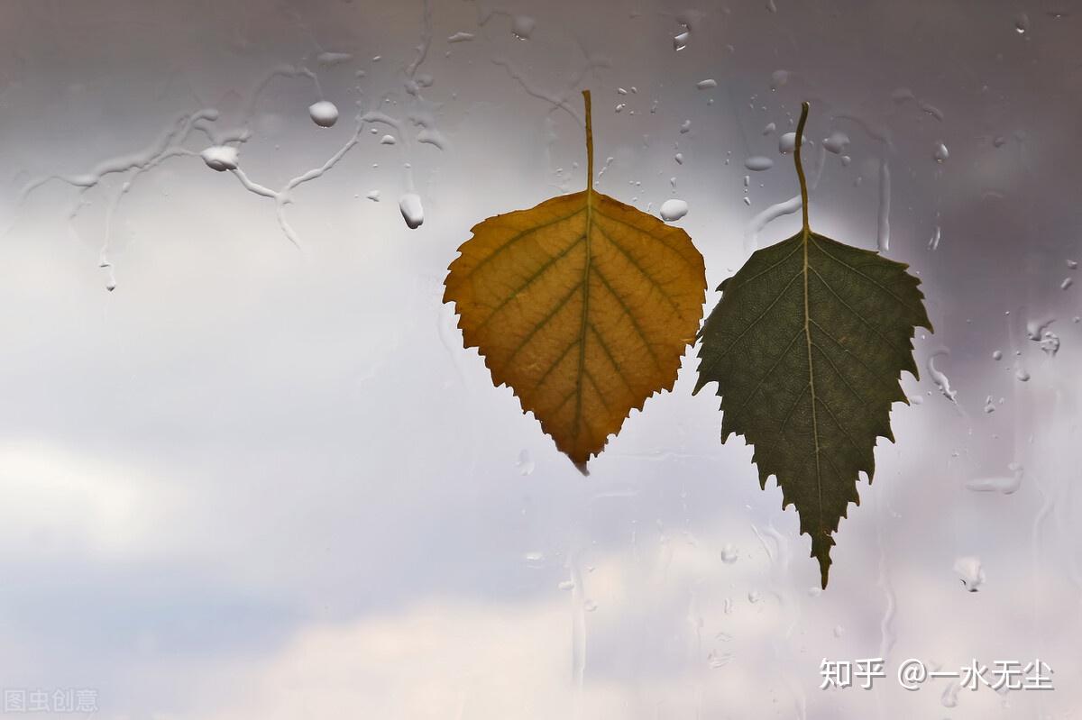 最伤感的下雨天是和你一起躲过雨的屋檐