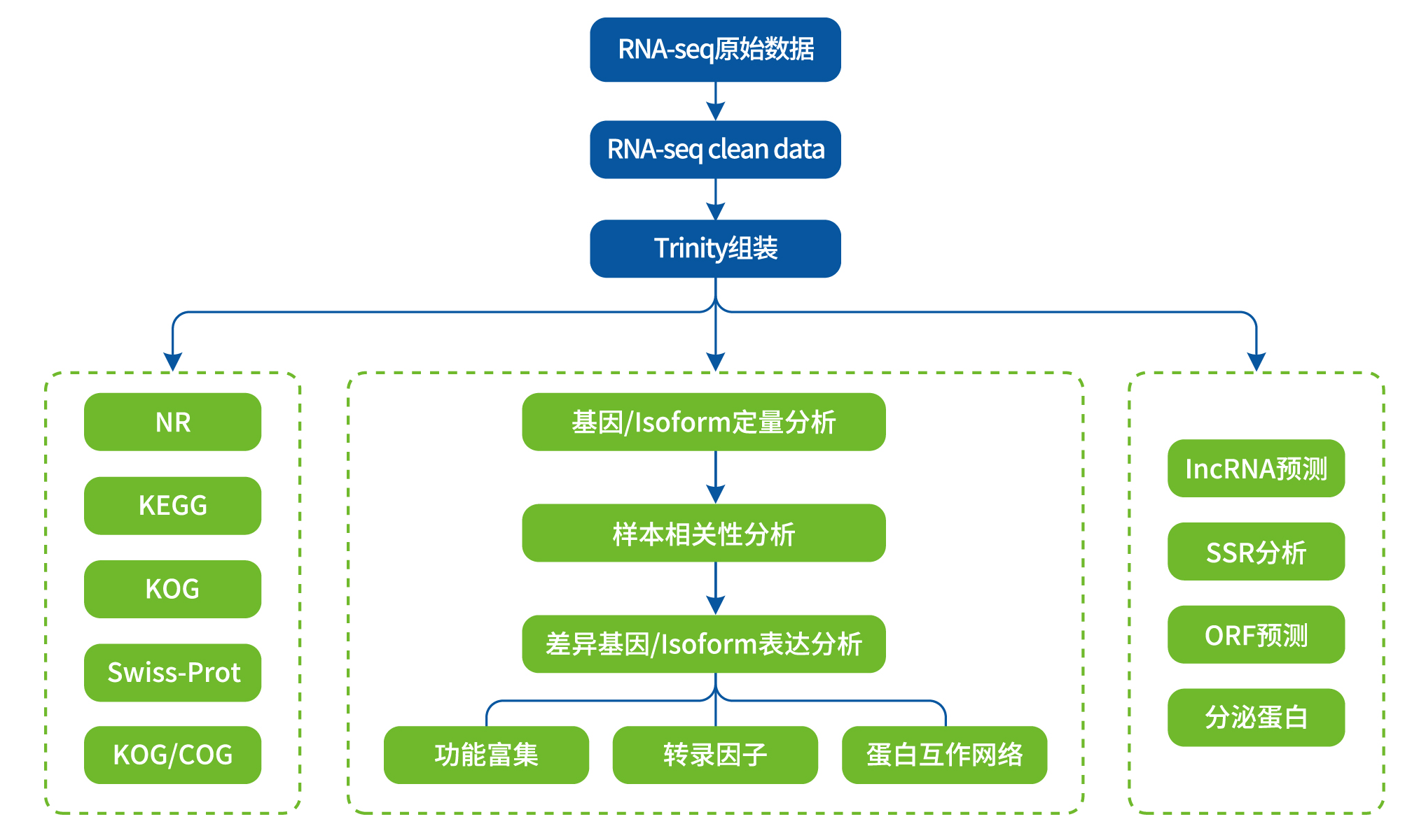 无参不用愁，一文解读无参转录组 - 知乎