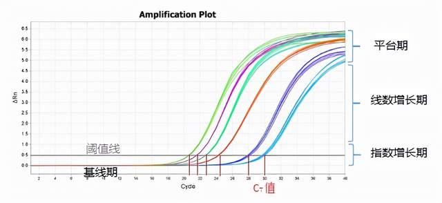 抓狂为什么我的qpcr曲线每次都这么抽象奇葩