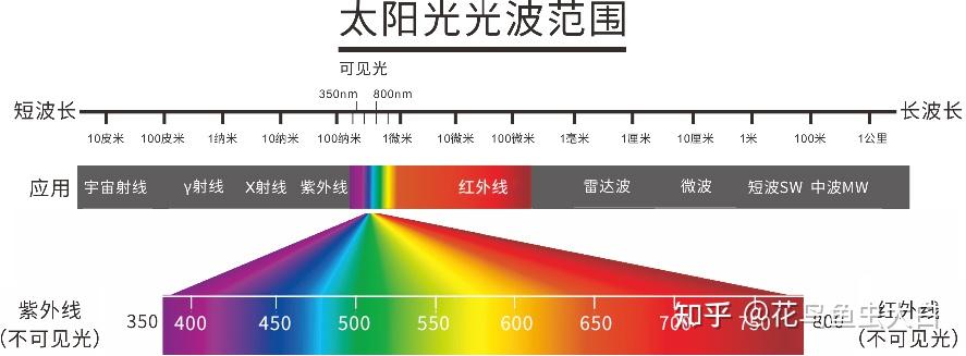 67紫外光uv植物光生物学