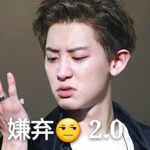 大家有啥exo的沙雕表情包嘛?
