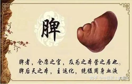 身上有这几个征兆,多见是脾虚!脾虚了这样健脾最有效! - 知乎