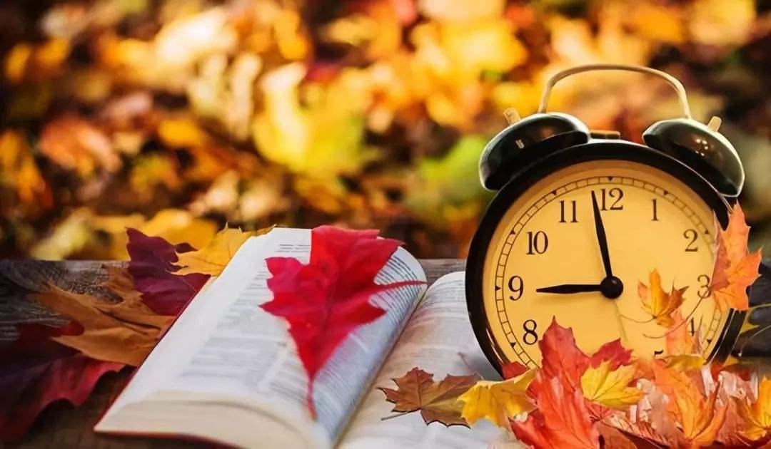 如何不被别人的情绪影响到 v2-772a45db050131d0d29bb6e523563d4e_1440w.jpg?source=172ae18b