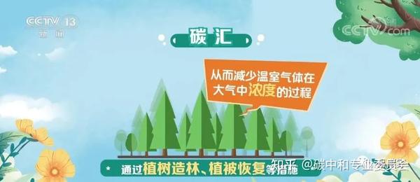 碳汇:用生态手段减少温室气体浓度 - 知乎