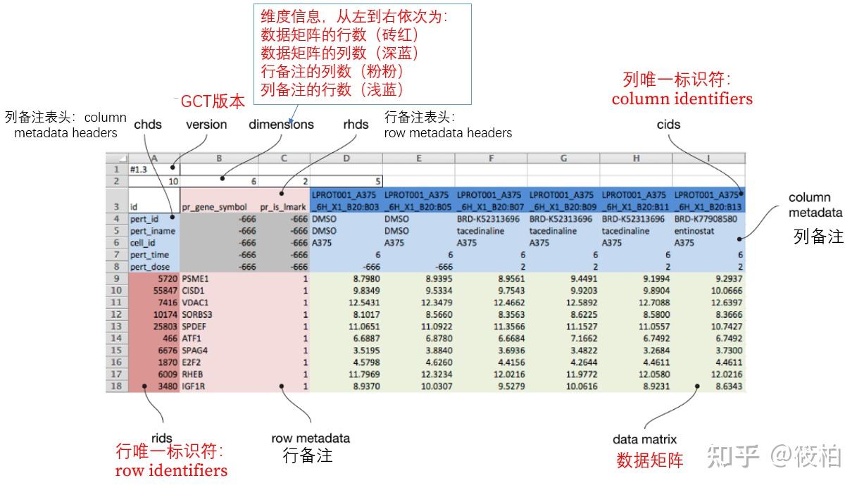 如何使用R生成GCT文件 - 知乎
