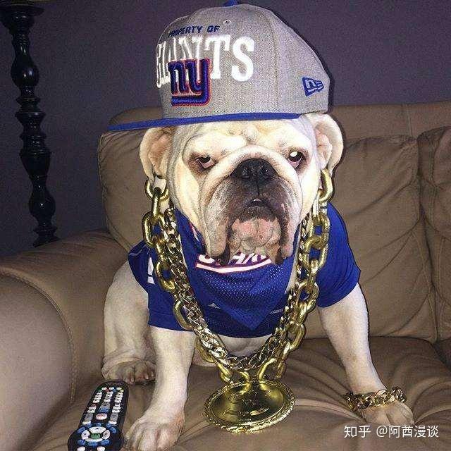 论《宁愿被潮流"榨干"的人类》的快乐