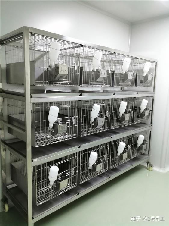 兽医实验室怎么建设?兽医实验室建设方案要点有哪些