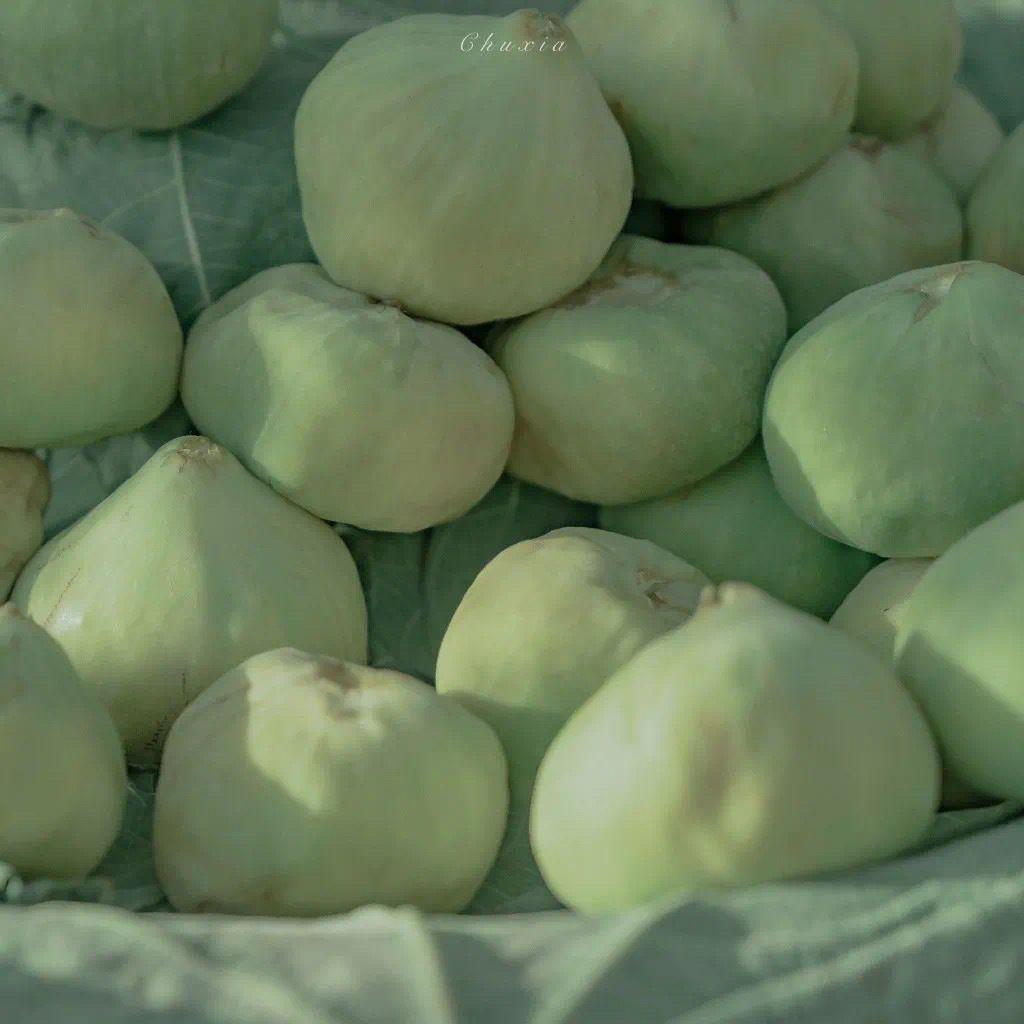 超级好看的绿色系壁纸,在这呢!护眼壁纸(绿色系列的壁纸)