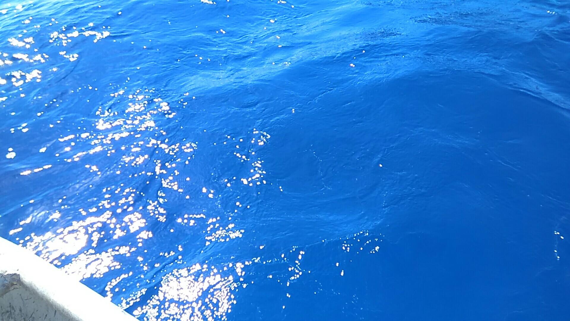 斐济是一个怎样的国家?