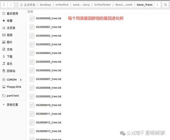 构建物种树的方式：串联树与并联树 - 知乎