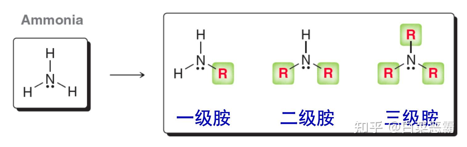 有机化学13_胺类化合物 - 知乎