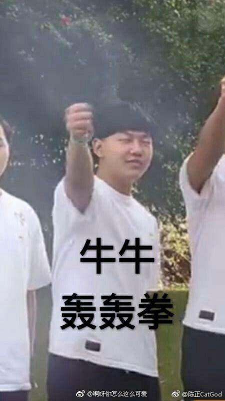 如何评价qghappy的fly(飞牛)? - 知乎