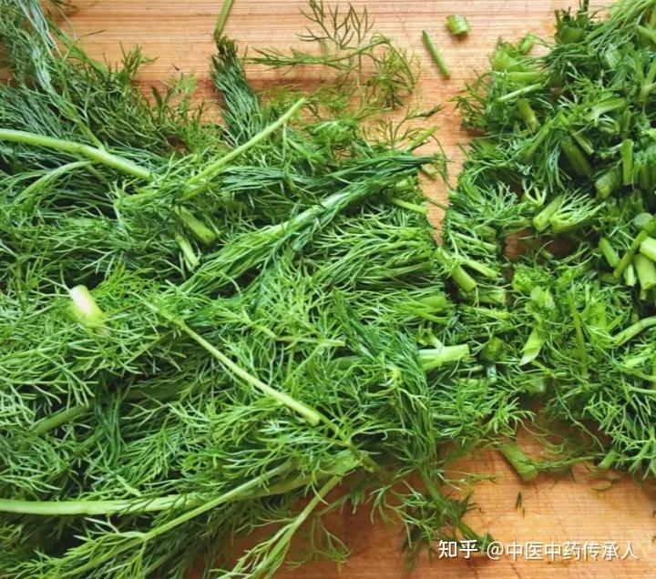 和香菜一样,爱茴香的人爱不释手,不喜欢茴香味道的人避之不及.