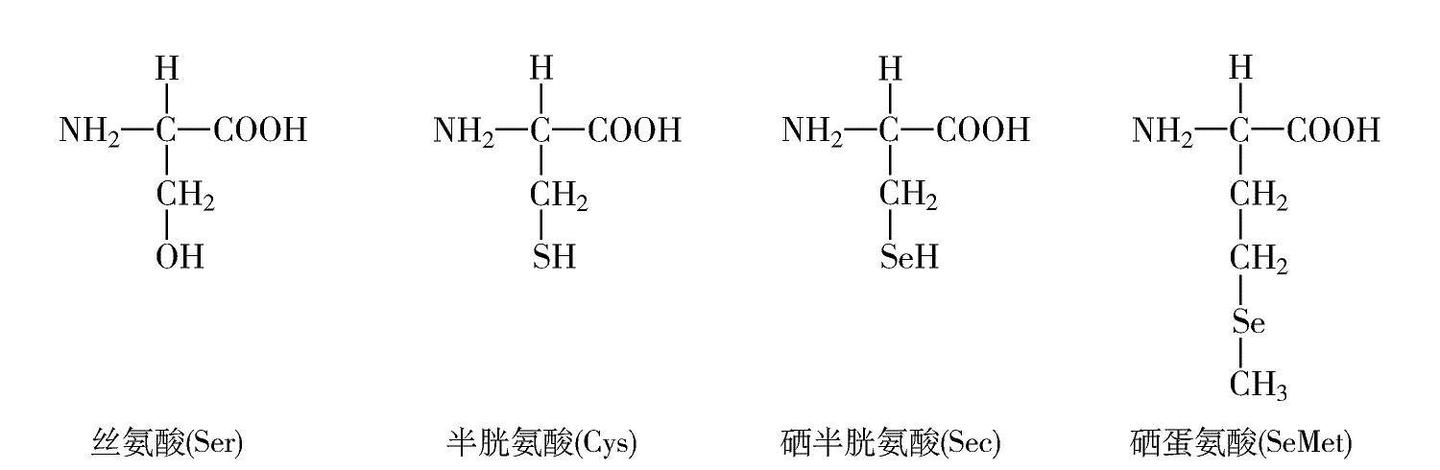 第四节 硒 - 知乎