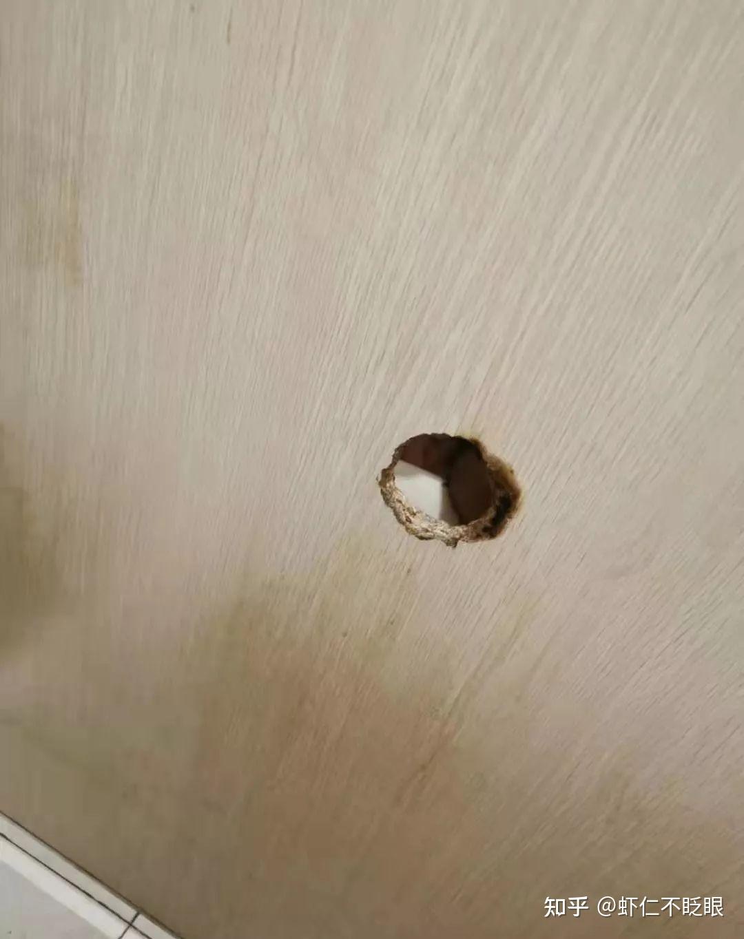 毁三观的厕所"鸟洞"