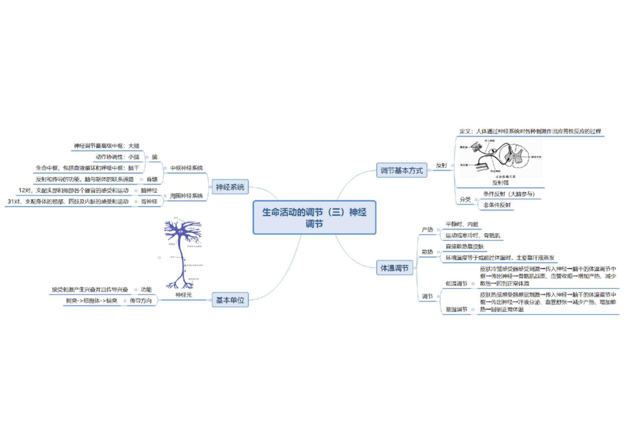 初中生物章節思維導圖26張完整版通儒公考圈精製免費共享