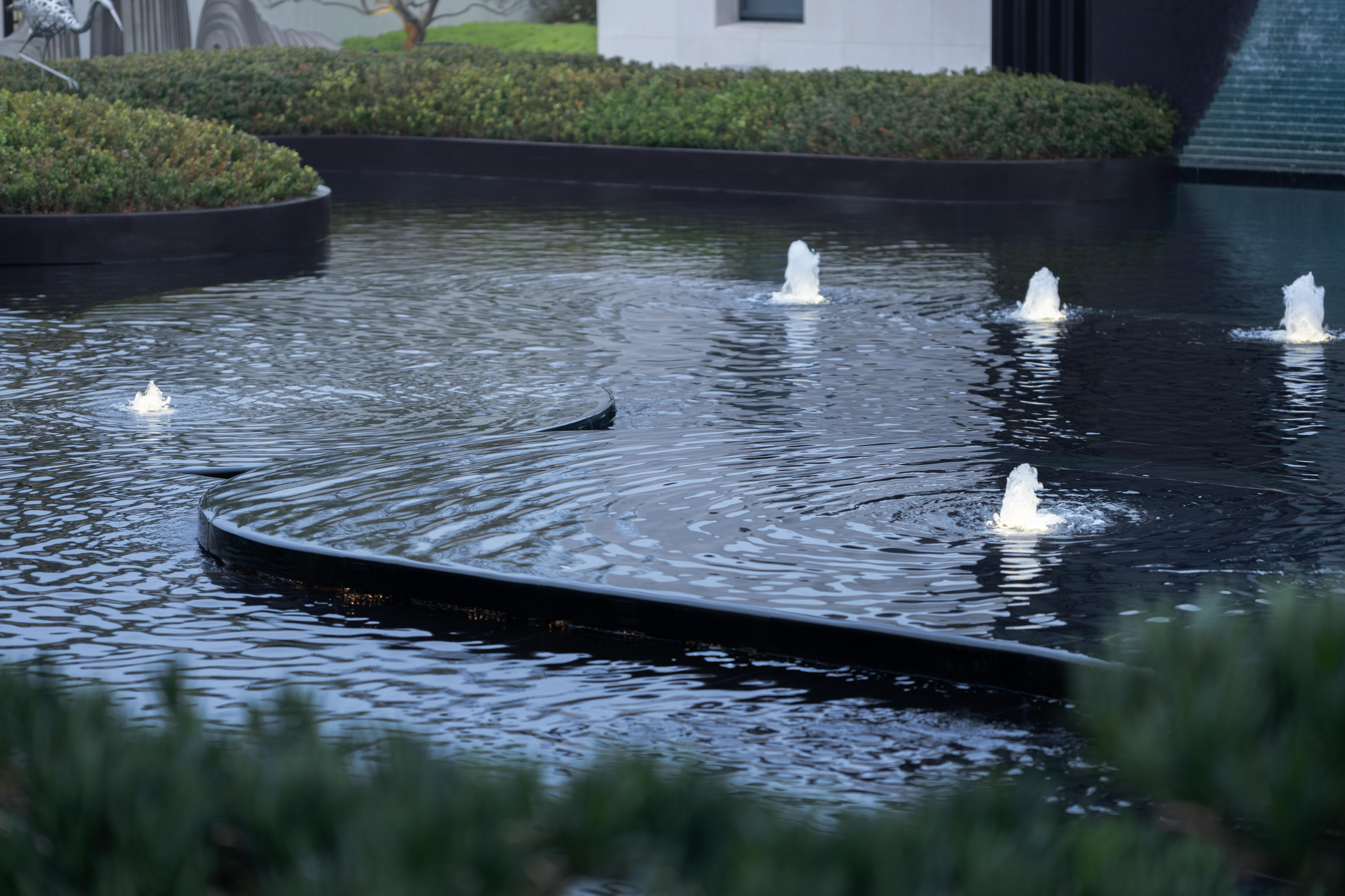 茫茫"水边平地以为汀,仙鹤站立在汀上,形态各异,为水景注入生机与活力