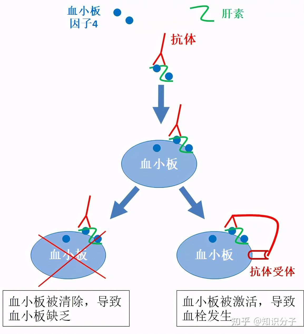阿斯利康疫苗接种后出现脑血栓意味着什么商周专栏