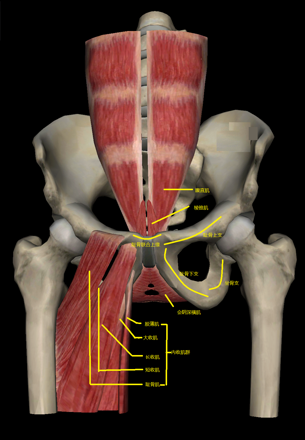 病例发布5上腹痛下腹痛月经痛治愈