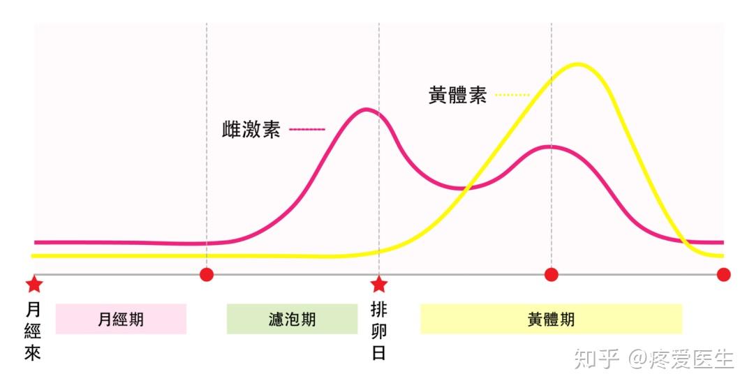 雌激素變化是「元兇」