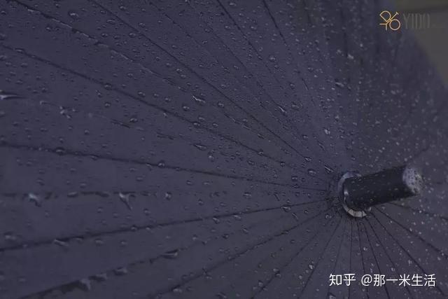 今天不把妹,和我来把伞 - 知乎