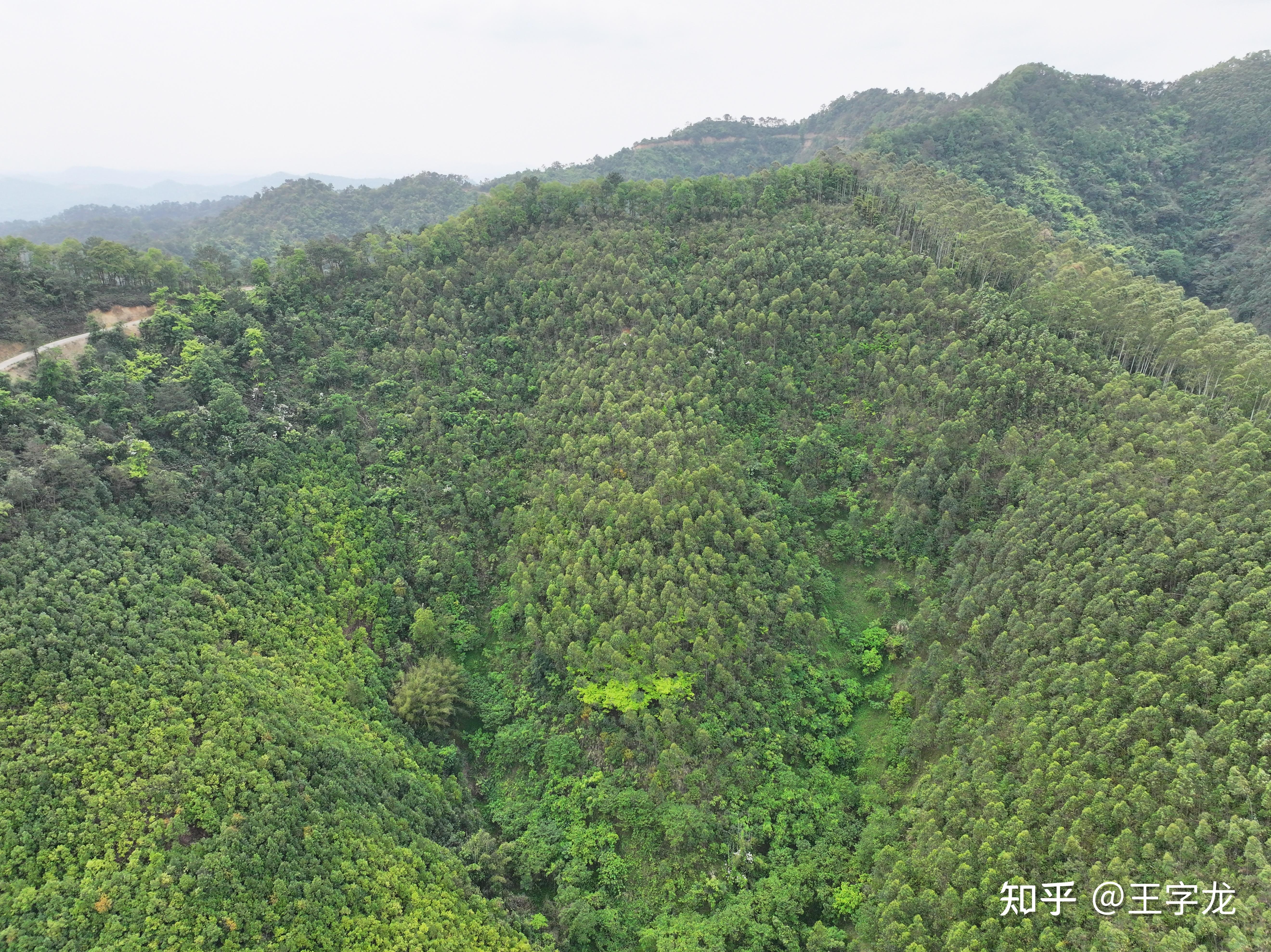 在山里的修行日常 今天个人作品