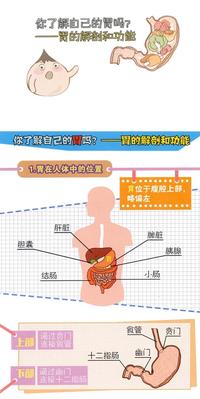 厌食恶心嗳气久治不愈小心胃肠神经官能症