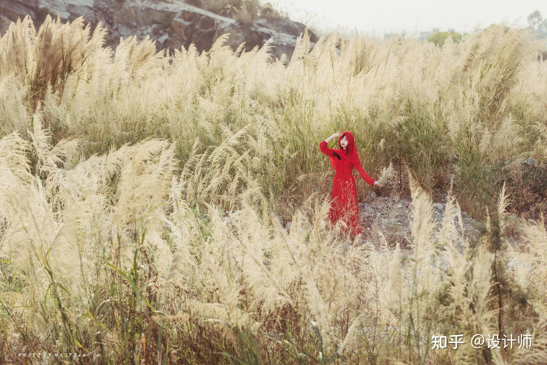 芦苇荡里拍人像把握6个拍摄要点拍出唯美好看的照片