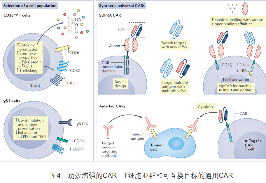 nature reviews:car-t细胞治疗大起底 - 知乎