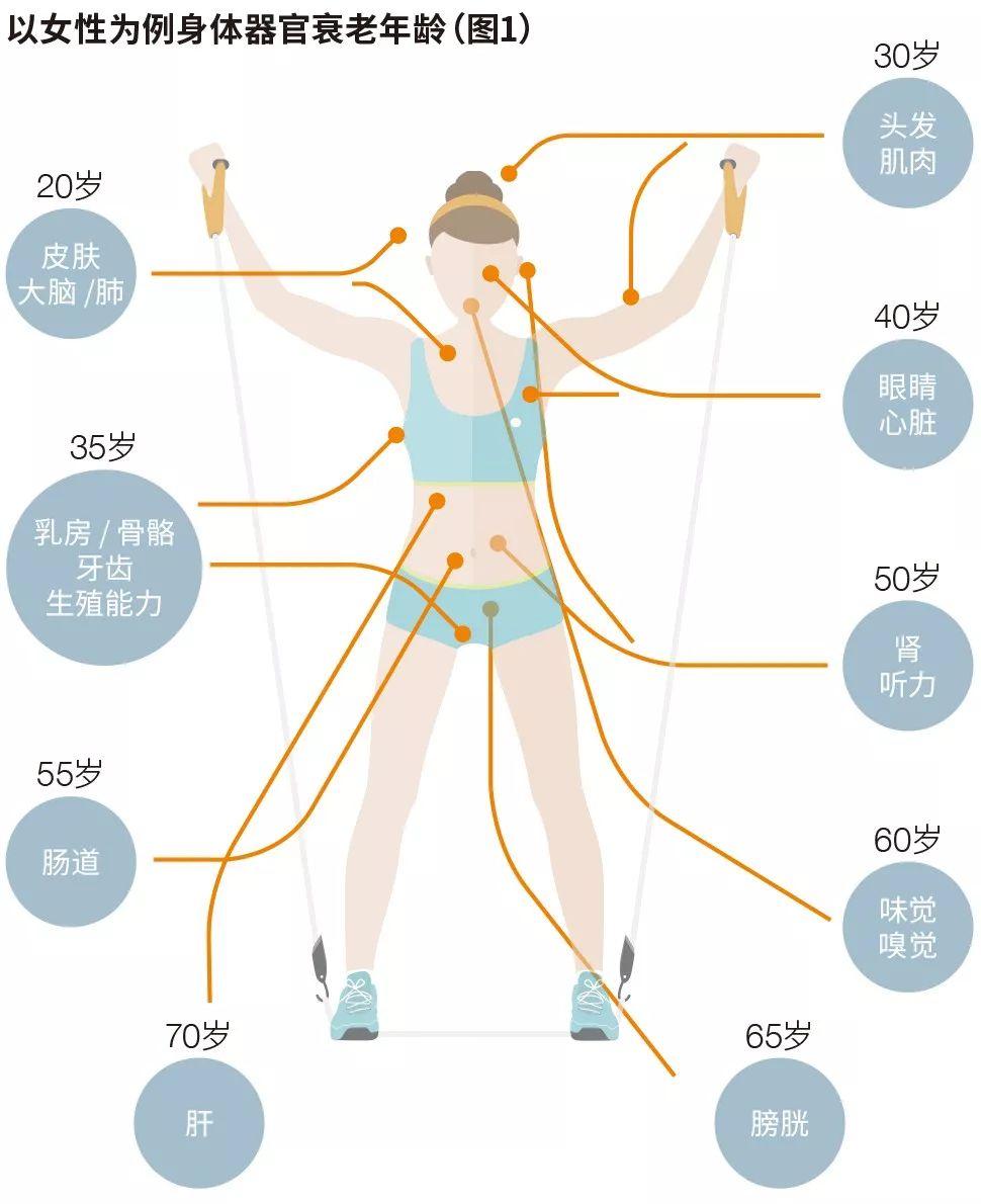 抗衰报告|注意了,这些指标变化说明你正在走向衰老 - 知乎