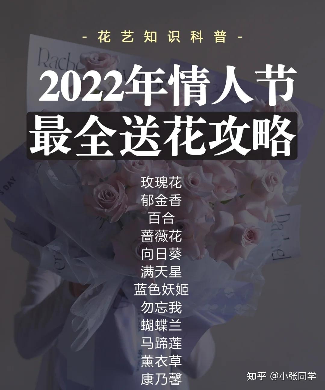 情人节最全送花攻略95 (最全花语合集)