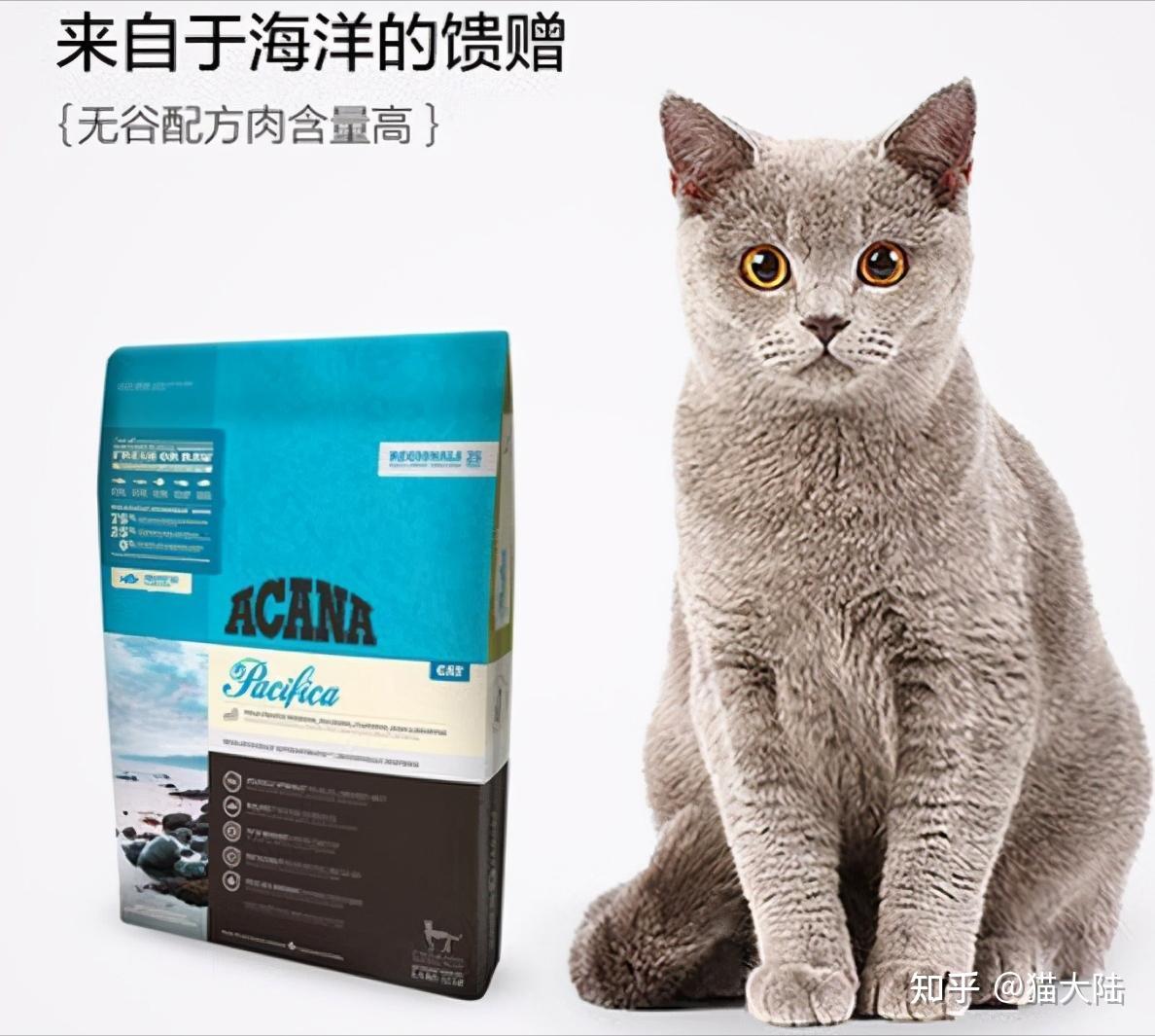适口性好的6款进口猫粮推荐,养猫必看! - 知乎