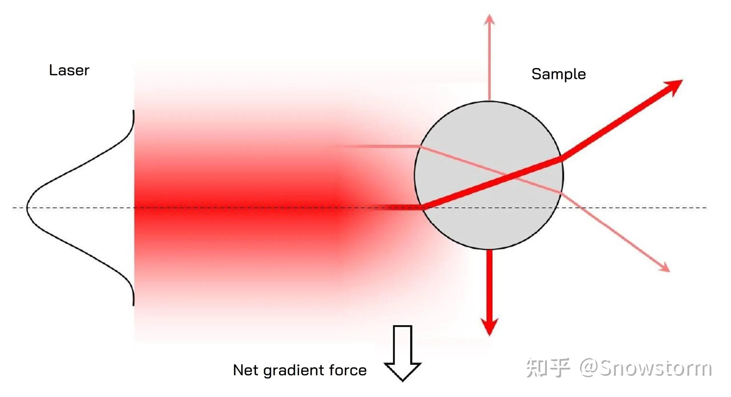 光镊技术：原理、系统、应用与前沿检测方法 - 知乎