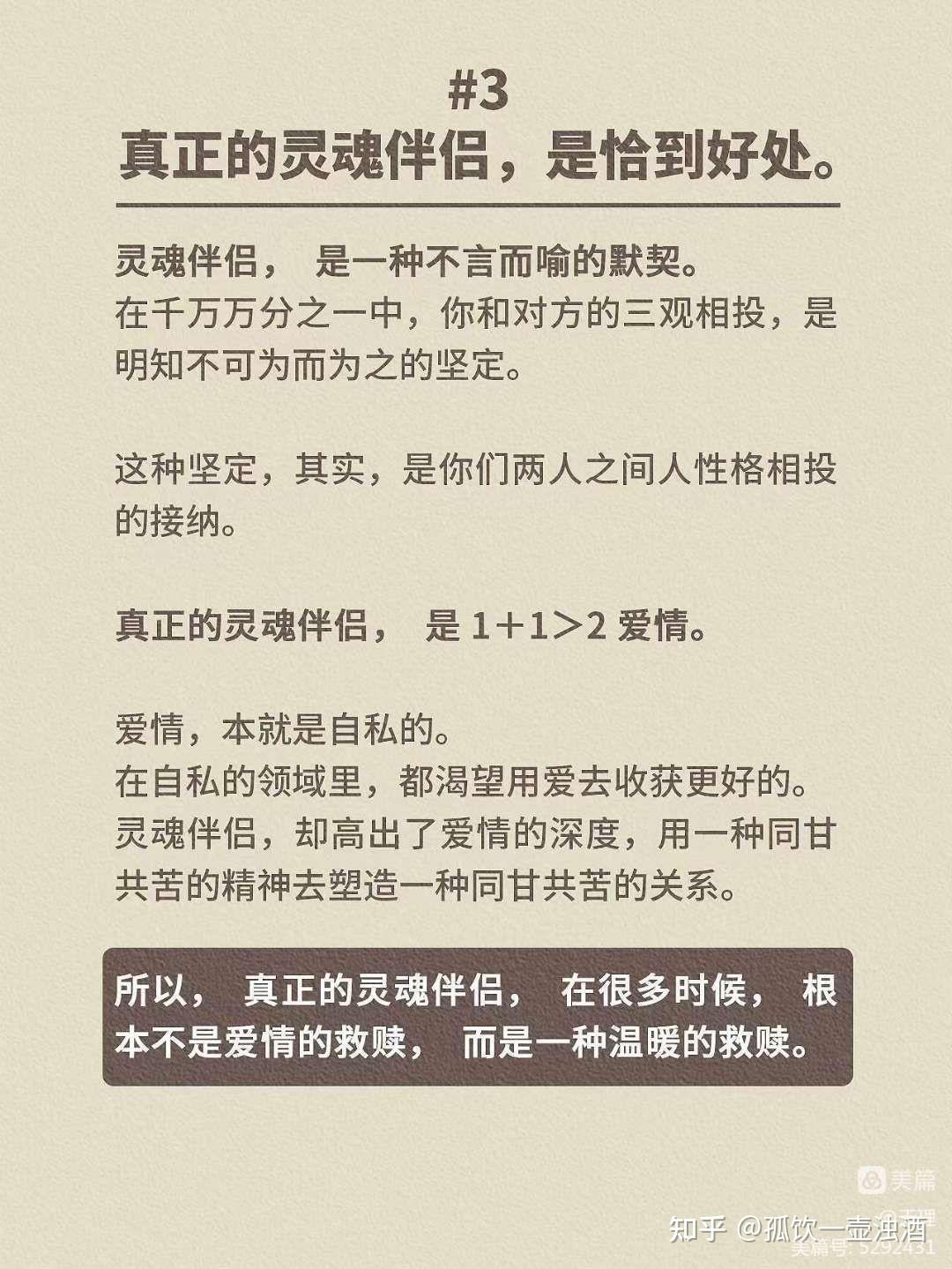 灵魂伴侣：揭秘双子座男生的最佳配对 (灵魂伴侣的解释视频)