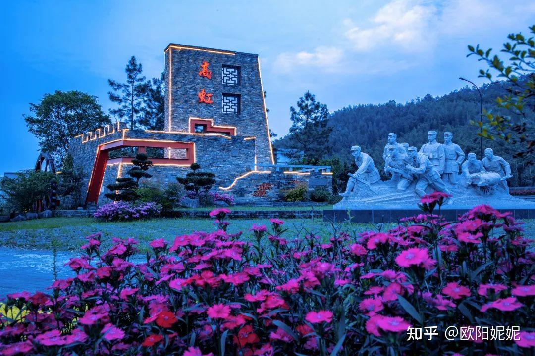 致敬新时代临安榜样 娄敏被评为杭州临安区“最美新乡贤” - 知乎
