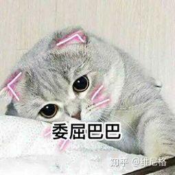 文科发挥失常,未达本科,尤其是文综,比平时及预