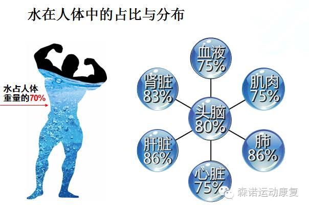 探析运动中的科学补水