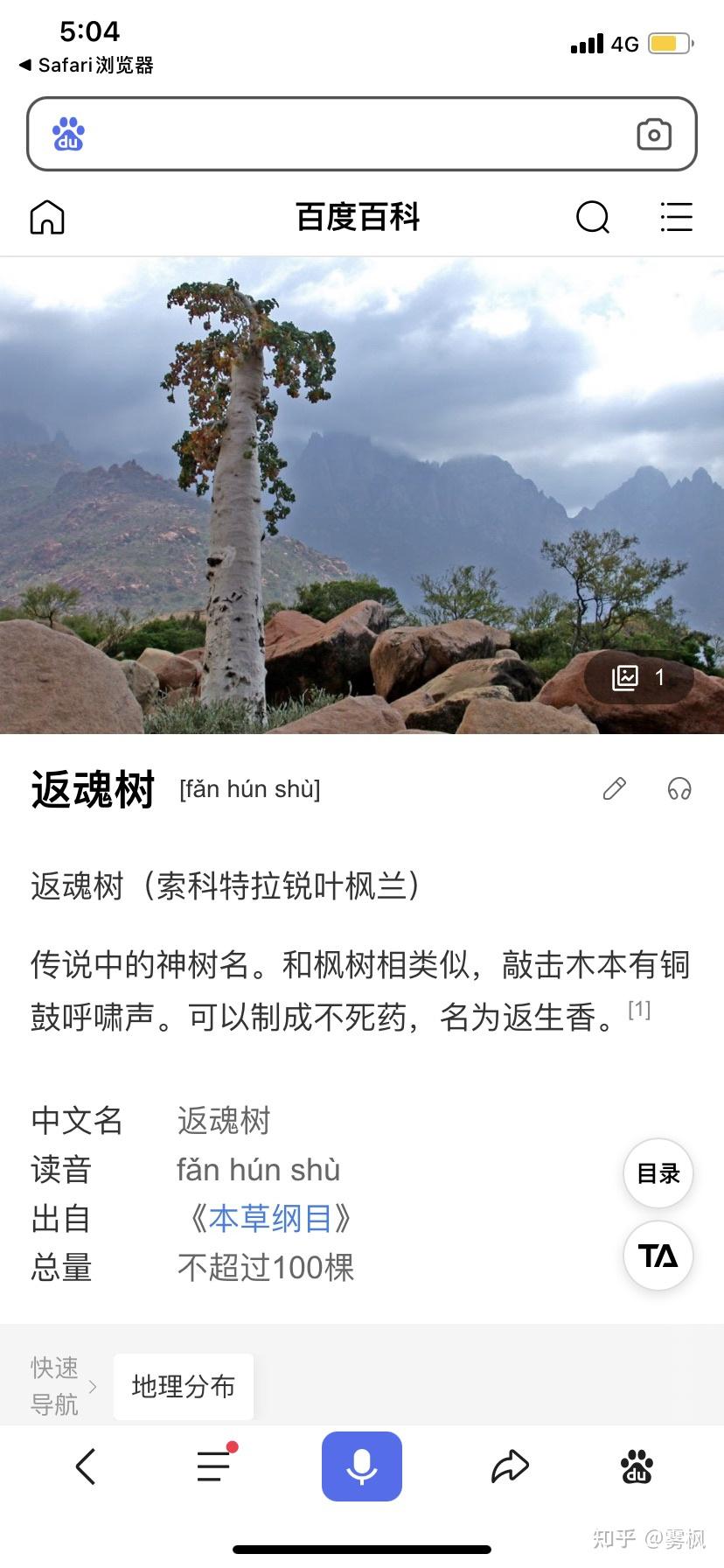 返魂树太平广记