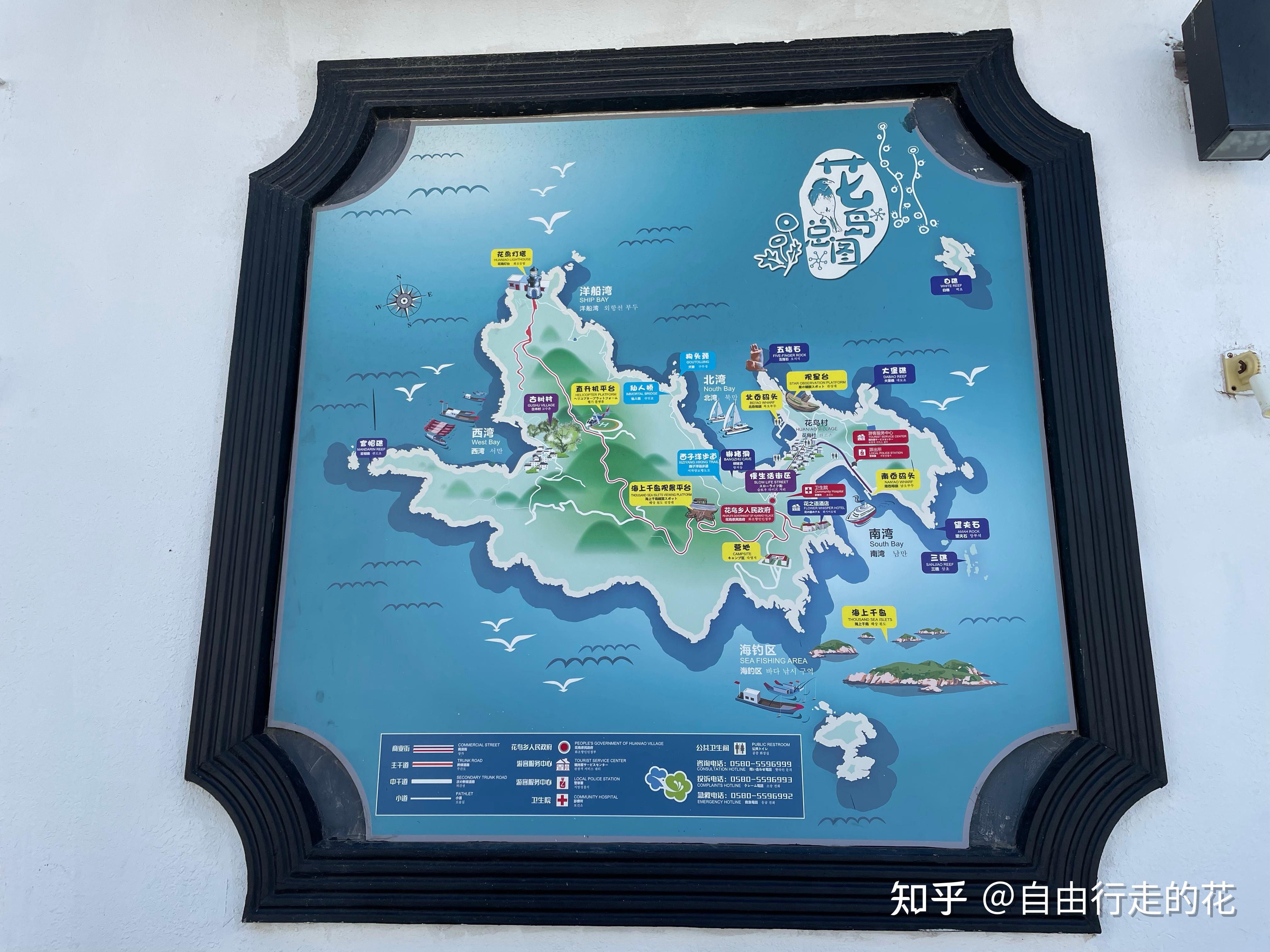 2022年8月北京出发去嵊泗岛花鸟岛路线规划及游记多图预警