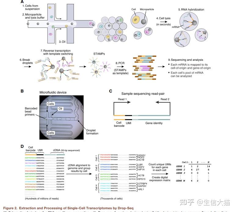 RNA-seq测序原理 - 知乎