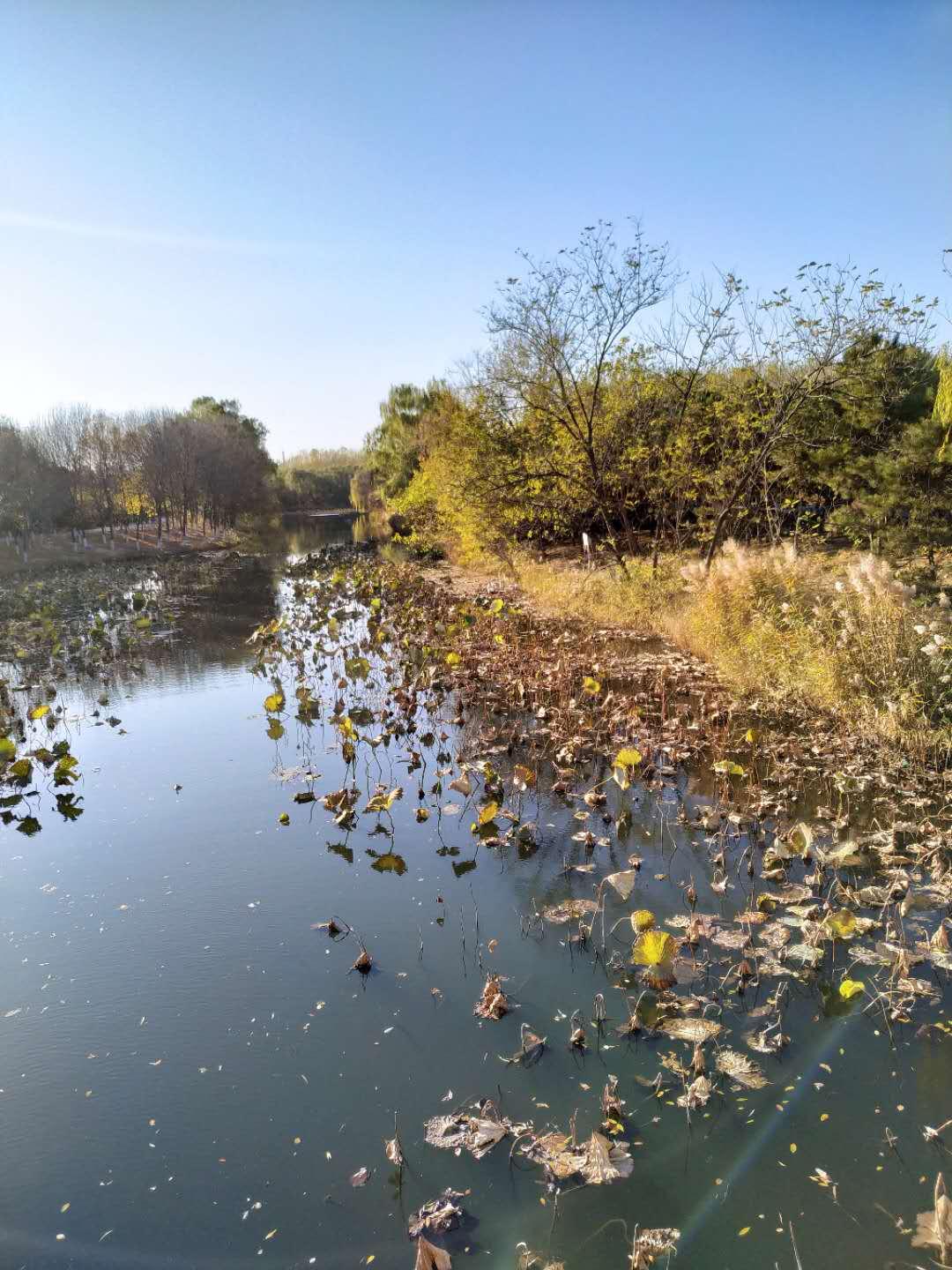 徜徉在北京奧林匹克森林公園冬日的溫暖裡也是一種幸福