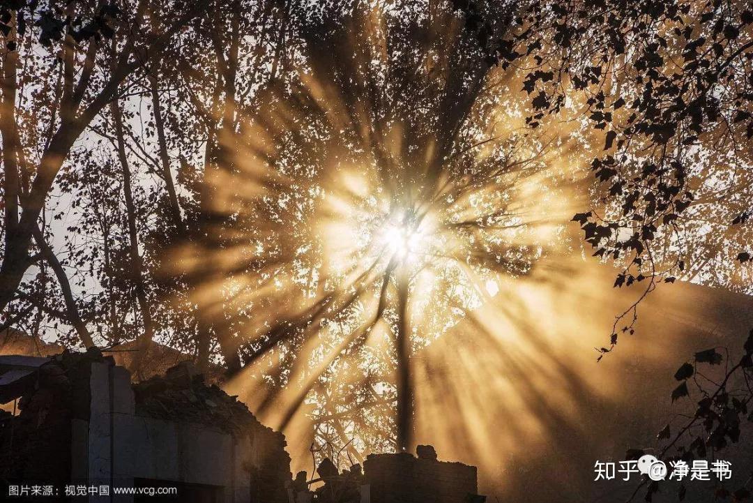 《尘埃落定》 - 知乎