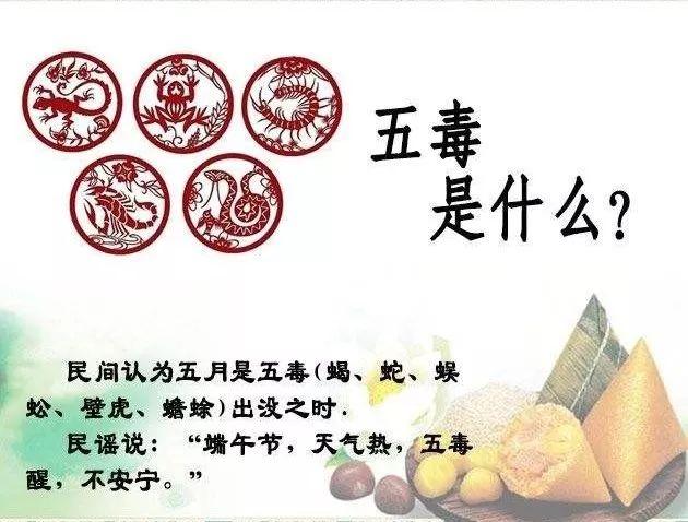 端午节 吃粽子 避五毒
