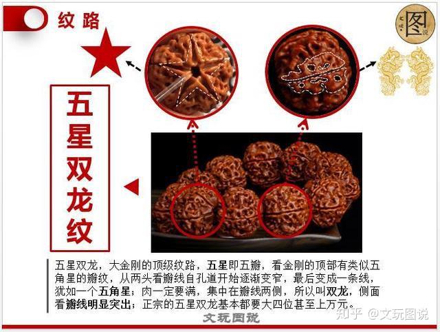 图说丨金刚菩提金刚知识大全看图就懂