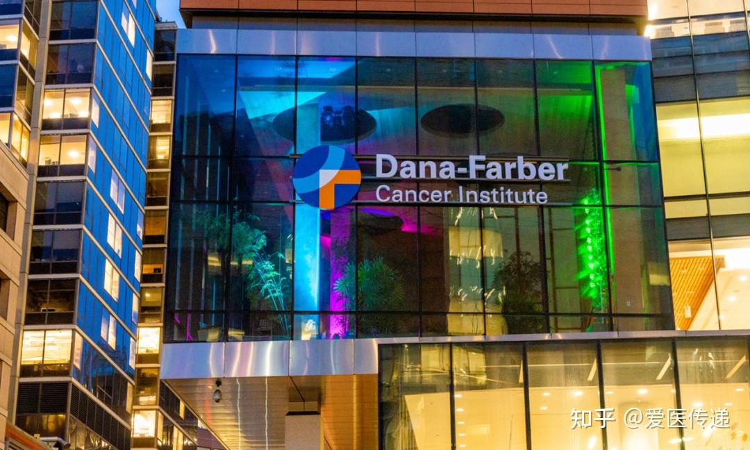 2024世界癌症医院排名出炉如何去这些顶级医院看病