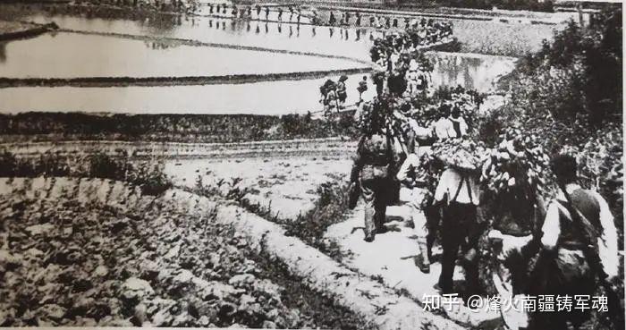 为什么叶挺独立团在北伐时能“一分为六”变成六个团? - 知乎
