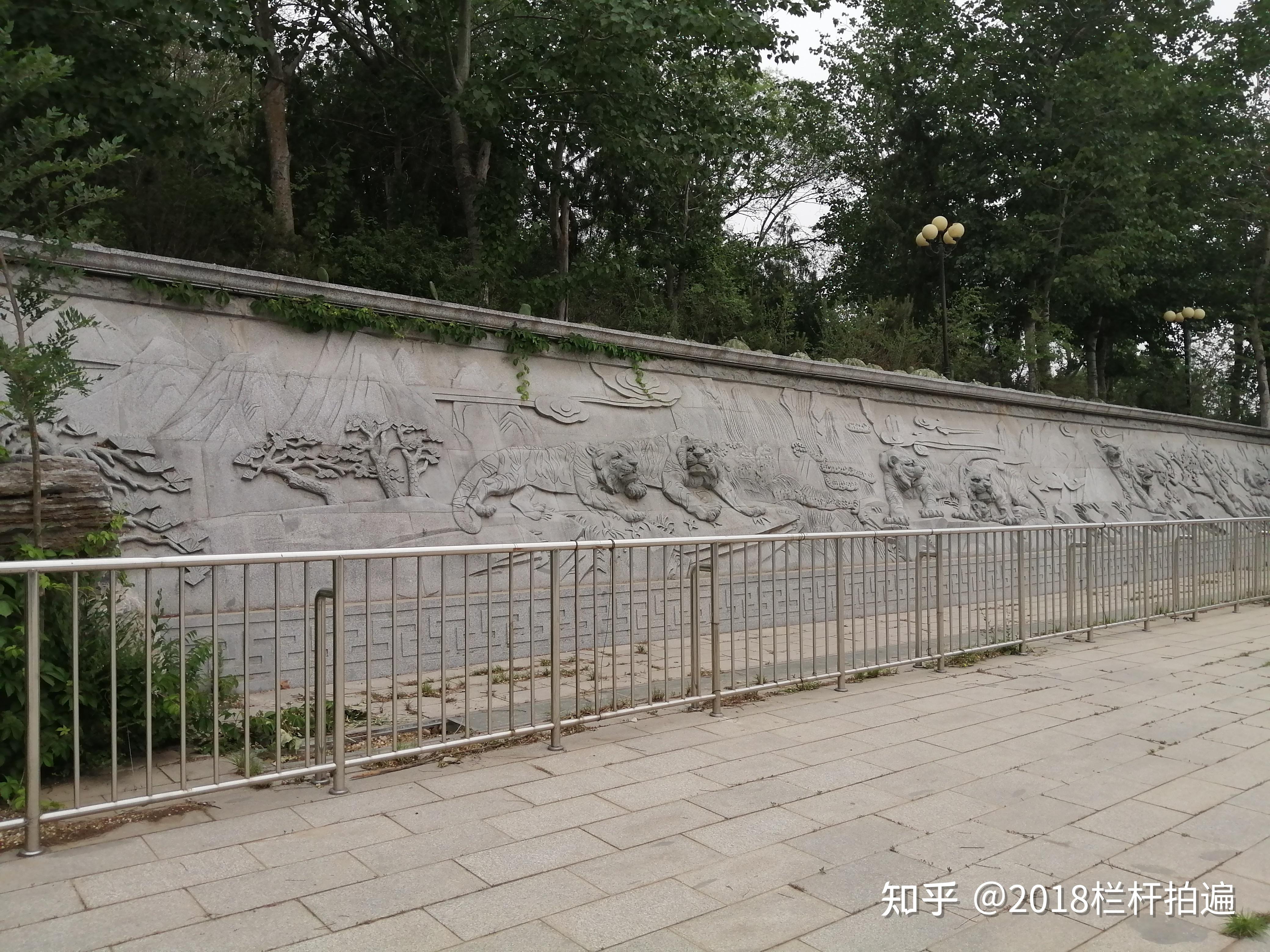 北京：卧虎山生态森林公园 - 知乎