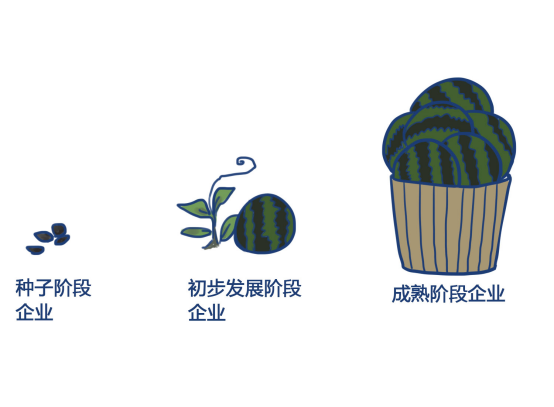 天使投资、VC 以及 PE 的区别是什么?