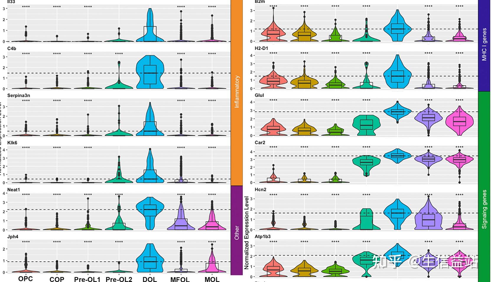 来自春天的大片——单细胞堆叠小提琴图华丽来袭（二） - 知乎
